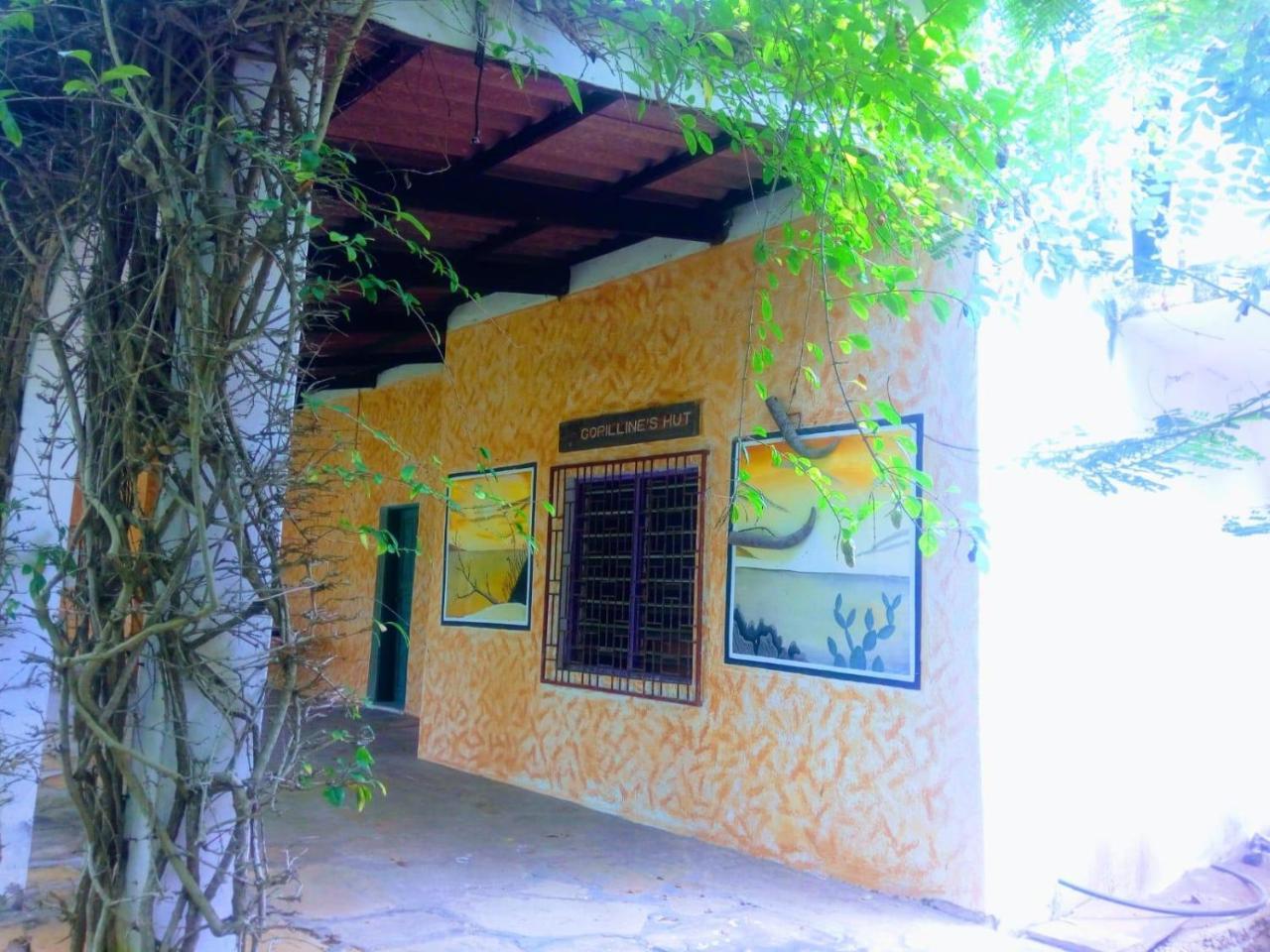 Bed and Breakfast Pashmina House Ватаму Экстерьер фото